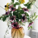 summerflarrwgaillardia