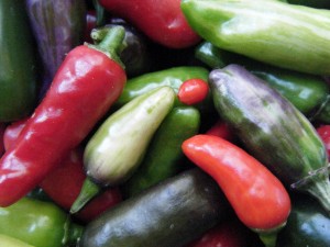 fishpepper4