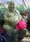 camelliabuddha
