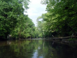 downtheriver