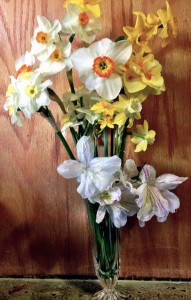 Dafs3-22-14