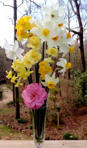 Dafs3-27-14